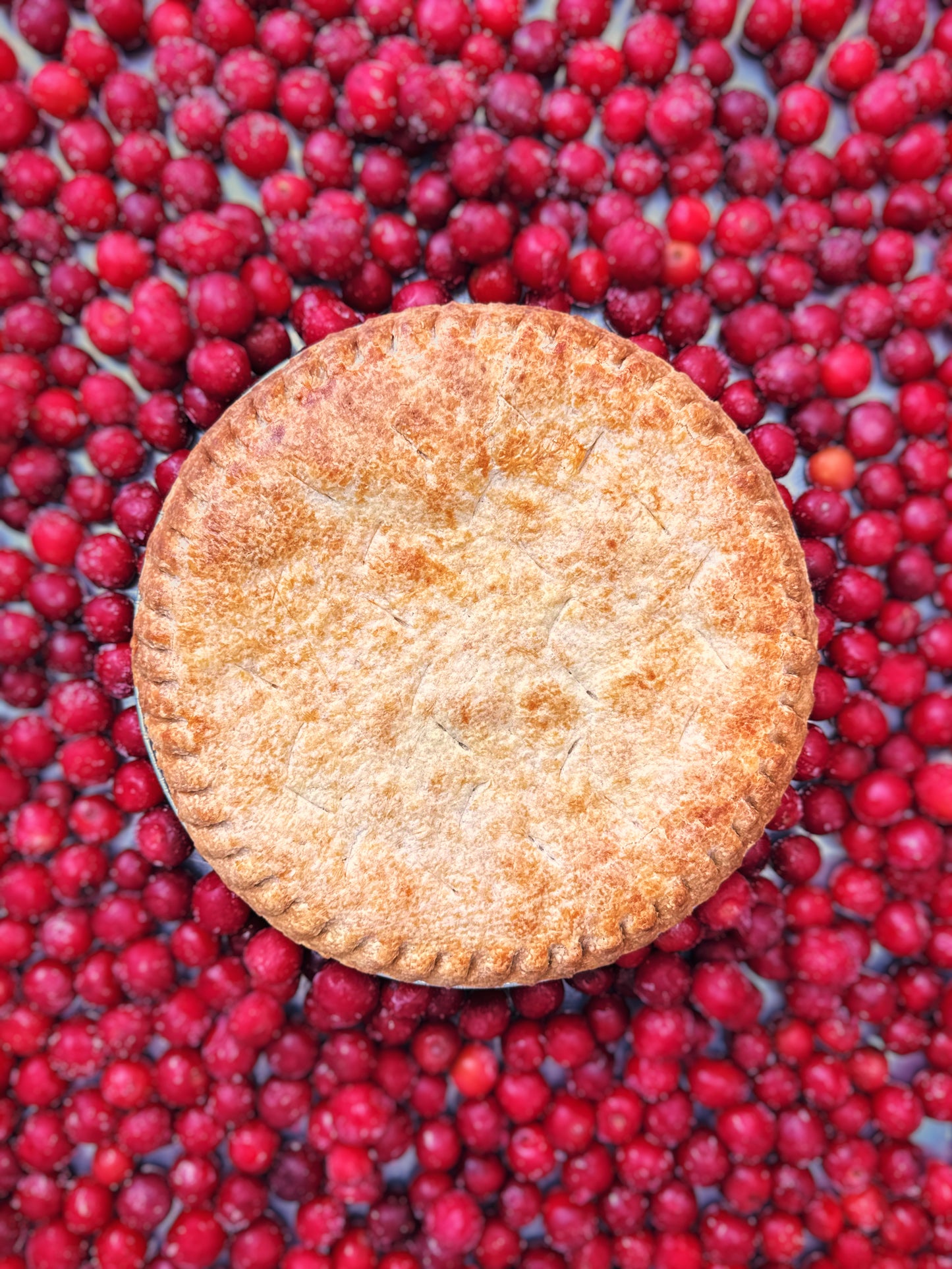 Sour Cherry Pie SATURDAY PREORDER (Local Delivery Only)