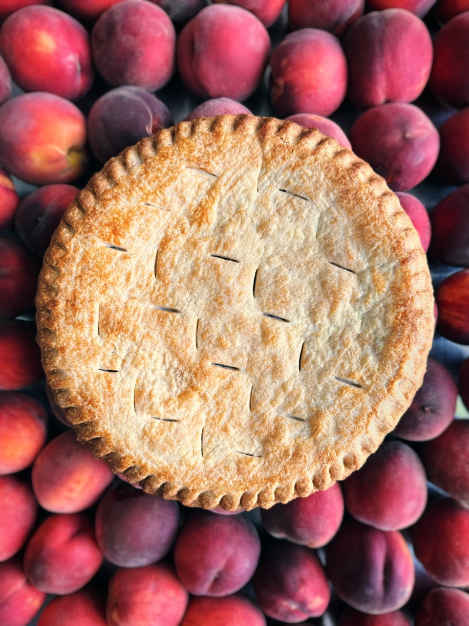 Peach Pie SATURDAY PREORDER (Local Delivery Only)