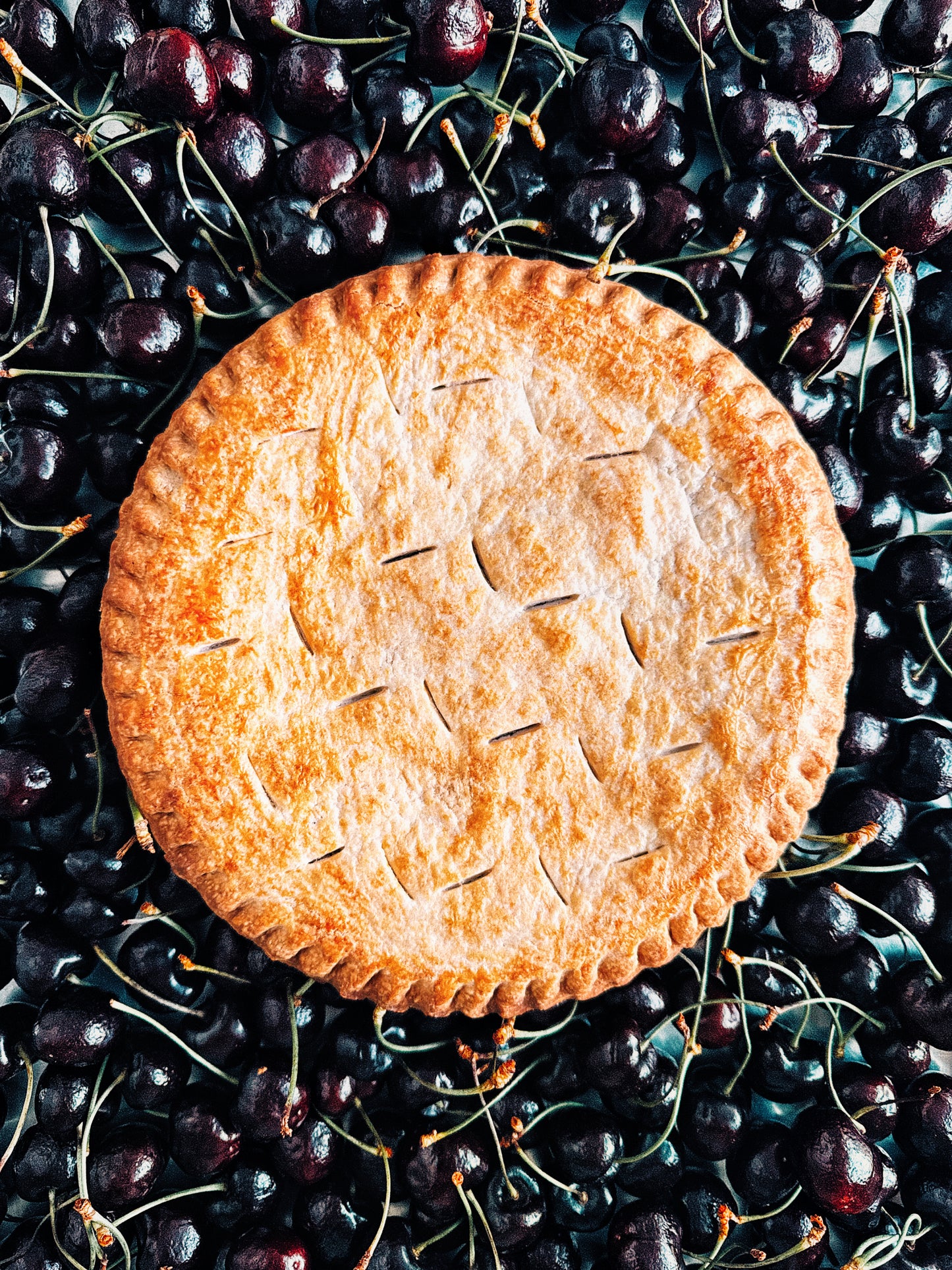 BC Cherry Pie SATURDAY PREORDER (Local Delivery Only)