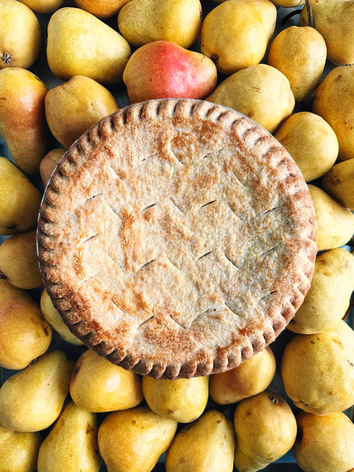 Pear Pie SATURDAY PREORDER (Local Delivery Only)